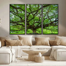 Oak Tree Wall Art Print, Forest Canvas Wall Art for Home and by MyGreatCanvas | Canvas Wall Art Prints | Photo Prints & Wall Decor