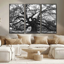 Ancient Oak Wall Art Canvas Print – Gnarled Tree Twisted by MyGreatCanvas | Canvas Wall Art Prints | Photo Prints & Wall Decor