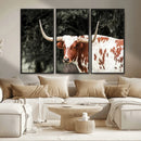 Texas Longhorn Wall Art Canvas Print – Framed Spotted Bull
