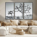Joshua Tree Wall Art Canvas Print – Framed Black White