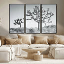Joshua Trees Wall Art Canvas Print – Framed Black White
