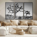 Joshua Tree Wall Art Canvas Print – Framed Monochrome Desert