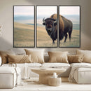 Bison Wall Art Canvas Print – Framed Buffalo American Bison