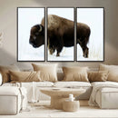 Bison Wall Art Canvas Print – Framed Western Wildlife