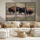 Bison Wall Art Canvas Print – Framed Western Wildlife Modern by MyGreatCanvas | Canvas Wall Art Prints | Photo Prints & Wall Decor