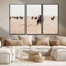 Bison Herd Wall Art Canvas Print – Framed Western Prairie