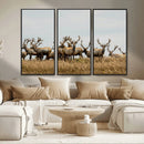 Elk Herd Wall Art Canvas Print – Framed Wildlife Photography