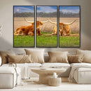 Texas Longhorn Pair Wall Art Canvas Print – Peaceful Rustic by MyGreatCanvas | Canvas Wall Art Prints | Photo Prints & Wall Decor