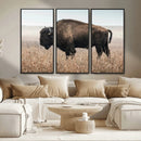 American Bison Wall Art Canvas Print – Majestic Buffalo
