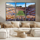 Tennessee Neyland Stadium Wall Art, Sports Arena Canvas by MyGreatCanvas | Canvas Wall Art Prints | Photo Prints & Wall Decor