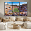 Tennessee Neyland Stadium Wall Art, Sports Arena Canvas by MyGreatCanvas | Canvas Wall Art Prints | Photo Prints & Wall Decor