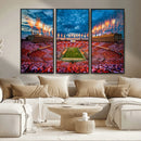 Tennessee Neyland Stadium Wall Art, Sports Arena Canvas by MyGreatCanvas | Canvas Wall Art Prints | Photo Prints & Wall Decor