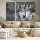 Wild Wolf Blue Eye Wall Art Canvas Print