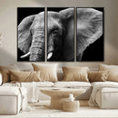 Big Elephant Close Up Wall Art Canvas Print