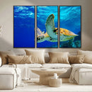 Sea Turtle Wall Art Canvas Print, Sea life in the Ocean Wall