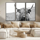 Newfoundland Cow Art Wall Art, Black White Cow Art Wall Art
