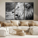 African Lion Wall Art Canvas Print – Majestic Wildlife