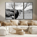 Longhorn Wall Art Canvas Print, Framed Ranch Wall Art Canvas by MyGreatCanvas | Canvas Wall Art Prints | Photo Prints & Wall Decor