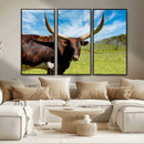 Longhorn and Cow Wall Art, Country Cow Wall Decor Canvas by MyGreatCanvas | Canvas Wall Art Prints | Photo Prints & Wall Decor