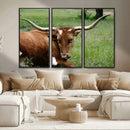 Longhorn Steer Canvas Wall Art – Rustic Nature Triptych