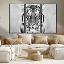 Tiger Canvas Artwork Wall Art Print