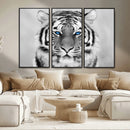 Black and White Tiger Wall Art Animal Canvas Print