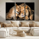 Lion and Lioness Wall Art Canvas Print – Framed African
