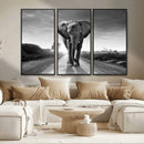 Black and White Elephant Wall Art Canvas Print