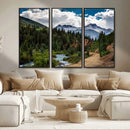 San Juan Nal Forest Wall Art Landscape Canvas Print
