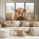 Scottish Serene Highland Cow Canvas Wall Art – Serene