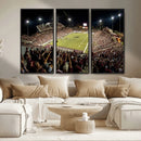 Washington-Grizzly Stadium Canvas Print, American Football