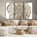 Abstract Wood Tree Ring Wall Art - Ready to Hang Minimalist