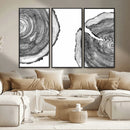 Abstract Large Tree Rings – Minimalist Black and White Wood