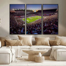 Texas A&M University Aggies Football Team Print - College