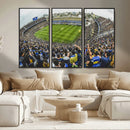 Boca Juniors Soccer Team Print Wall Art - Buenos Aires