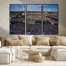 South Carolina Gamecocks Football Team Print - Columbia