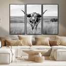 Texas Cow Longhorn Wall Art Canvas Print for Farm House Wall