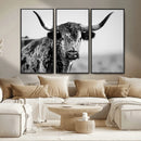 Texas Cow Longhorn Wall Art Canvas Print in Black and White