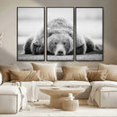 Resting Grizzly Bear Wall Art Canvas Print – Majestic Lazy by MyGreatCanvas | Canvas Wall Art Prints | Photo Prints & Wall Decor