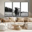 Black and White Highland Cow Wall Art Canvas Print | Rustic