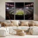 Eagles Field Stadium Wall Art - Philadelphia Eagles Football
