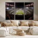 Eagles Field Stadium Wall Art - Philadelphia Eagles Football