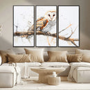 Barn Owl Wall Art on Branch | Stunning Canvas Print for