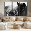 Black Horse in Snow Canvas Print | Winter Horse Wall Art |