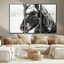Framed Black and White Horse Wall Art | Ready to Hang and by MyGreatCanvas | Canvas Wall Art Prints | Photo Prints & Wall Decor