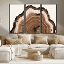 Rustic Wood Rings Wall Art | Nature-Inspired Tree Ring