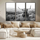 Scottish Highland Cow Wall Art | Black and White Canvas