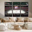 Honda Center California Anaheim Ducks Ice Hockey Stadium