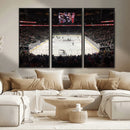 T Mobile Arena Paradise Nevada Vegas Golden Knights Ice
