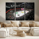 Vaudoise Lausanne Ice Hockey Arena Stadium Wall Art Canvas,